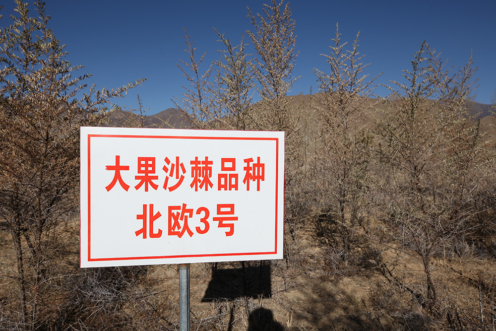 1548033735630994.jpg IMG_8882.jpg